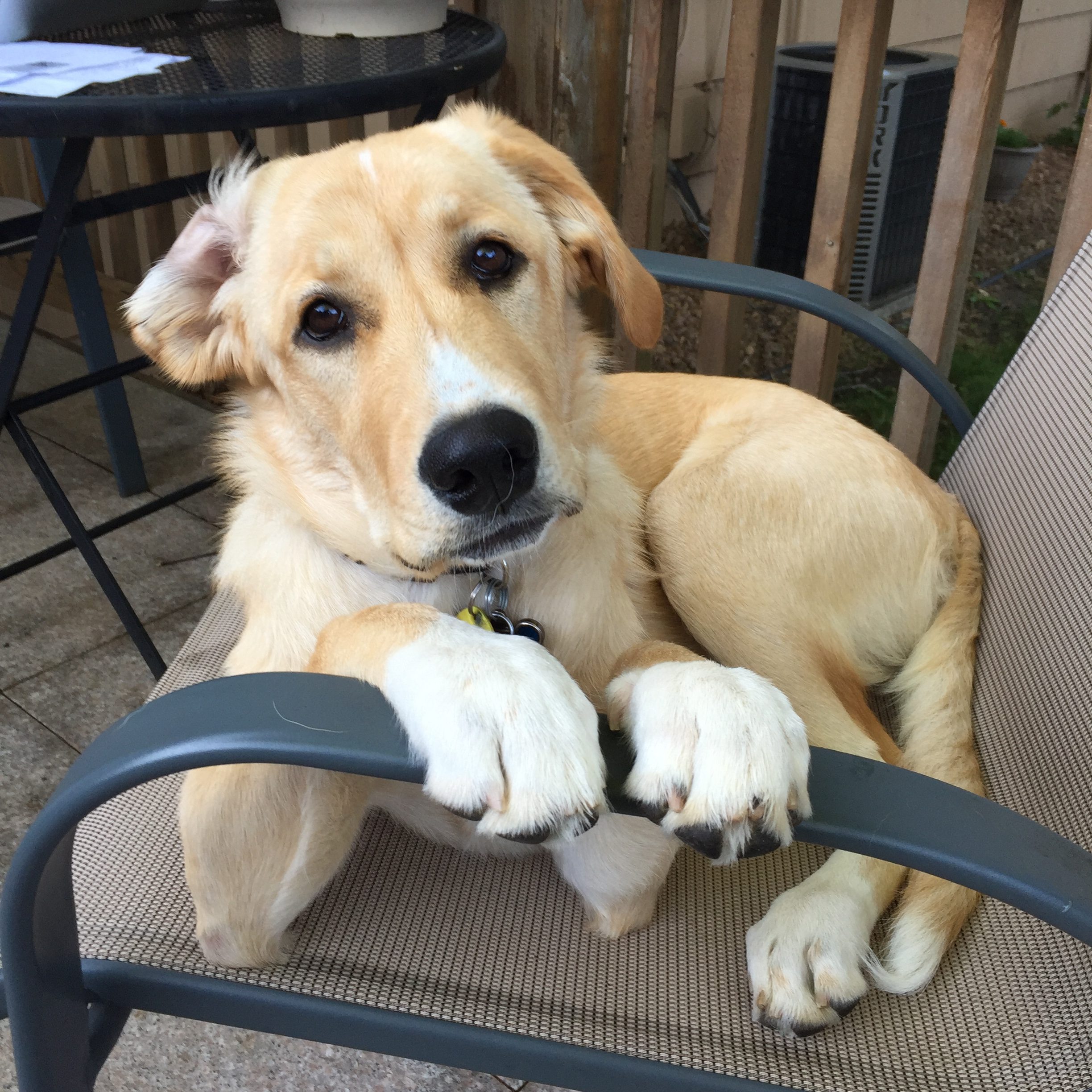 Goodbye My Girl – This One Is For You