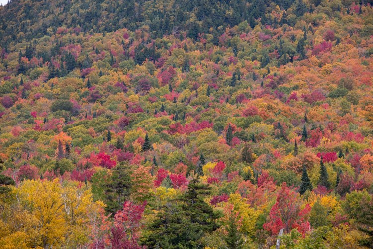 Best Places To Visit In Vermont